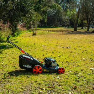 CORTACESPED CASTOR MOTOR 675 EXI - Vista 4